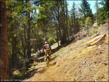Honda CRF Dirt Bike at High Dome Trail