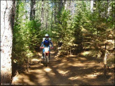 Honda CRF Dirt Bike at Gold Note Trails