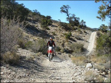 Man wearing black and red motorcoss jersey on Honda CRF250 navigating rocky ATV trail.