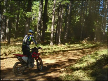 Honda CRF Motorcycle at Interface Recreation Trails