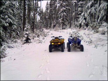 OHV at LaDee Flats OHV Area Trail