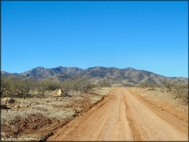 Example of terrain at Mt. Lemmon Control Road Trail