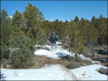 OHV at Ward Charcoal Ovens State Historic Park Trail