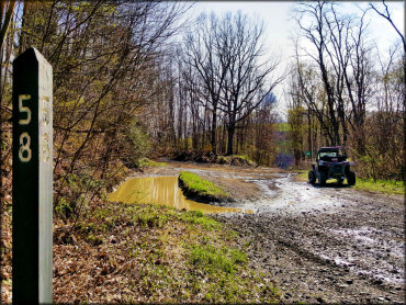 Snow Shoe Rails to Trails