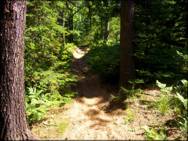 Bass Lake Motorcycle Trail