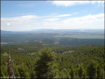 Scenery at Crane Mountain OHV Trail