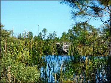 Florida Cracker Ranch Trail