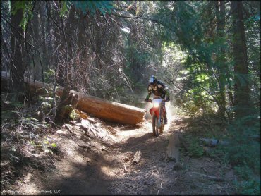Interface Recreation Trails