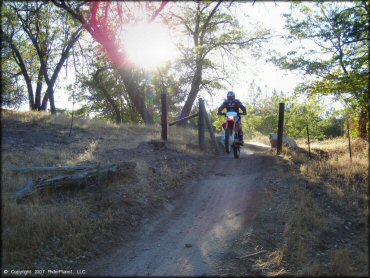 Honda CRF Trail Bike doing a wheelie at Lake Arrowhead Trail
