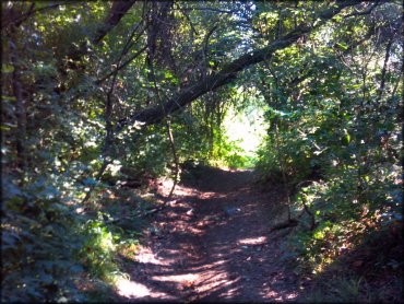 Riverside ATV Park OHV Area