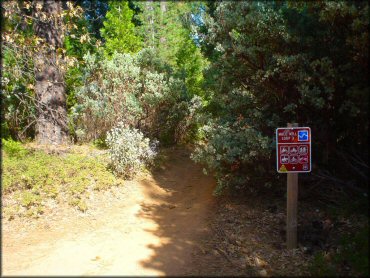 Terrain example at Georgetown Trail