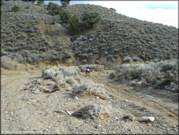 Honda CRF Motorbike at Old Sheep Ranch Trail