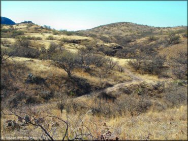 Scenery at Red Springs Trail