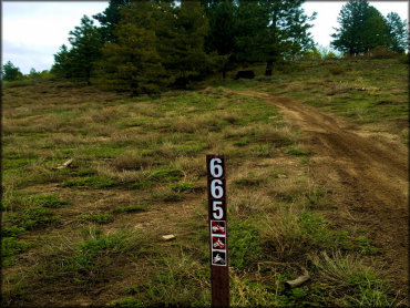 Idaho City Trail