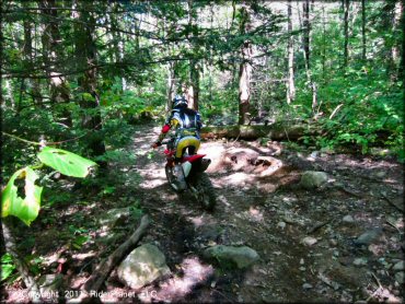 Honda CRF Dirt Bike at Beartown State Forest Trail