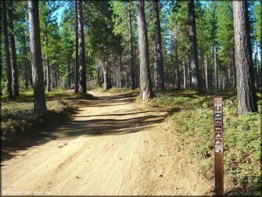 A trail at Interface Recreation Trails