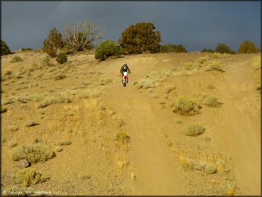 Honda CRF Motorcycle at Mount Seigel OHV Trails