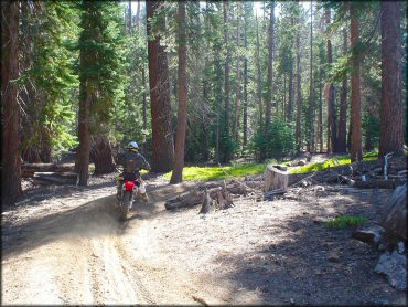 Honda CRF Dirtbike at Genoa Peak Trail