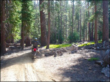 Honda CRF Dirt Bike at Genoa Peak Trail