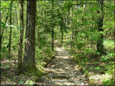 Example of terrain at Wrentham Trails