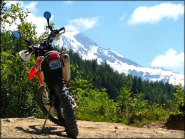 Honda dual sport dirt bike with handle bar mirrors parked in the forest with Mt. Rainier in the background.