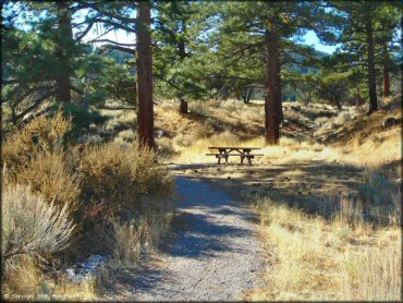 Amenities example at Timberline Road Trail