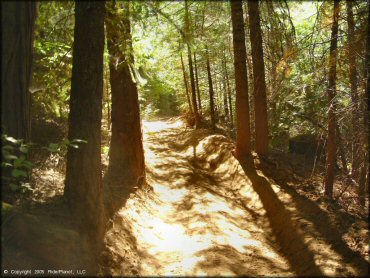 Terrain example at Gold Note Trails