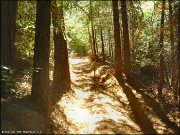 Some terrain at Gold Note Trails