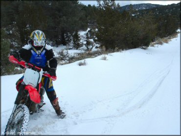 Honda CRF Motorcycle at Old Sheep Ranch Trail