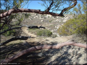 A trail at Lark Canyon OHV Area Trail