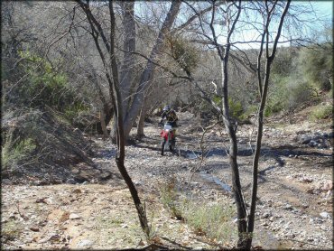 Honda CRF Off-Road Bike at Mescal Mountain OHV Area Trail