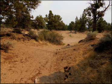 Juniper Flats OHV Area Trail