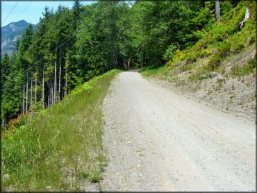 Some terrain at Reiter Foothills State Forest Trail