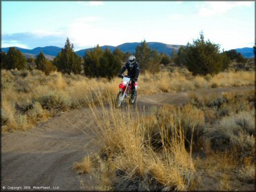 Honda CRF Dirt Bike at Mount Seigel OHV Trails