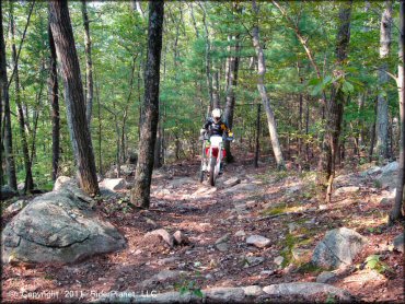 OHV at F. Gilbert Hills State Forest Trail