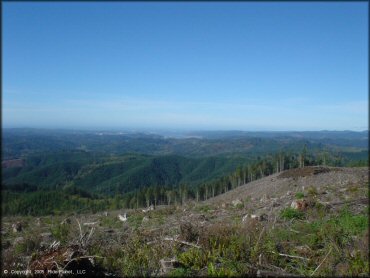 Scenery at Blue Ridge Trails