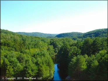 Scenic photo of trees surrounding the Naugatuck River.