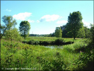 Scenery at Camden ATV Trail