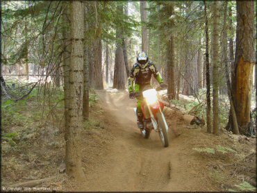 Honda CRF Dirt Bike at Elkins Flat OHV Routes Trail
