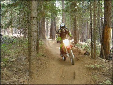 Honda CRF Motorcycle at Elkins Flat OHV Routes Trail