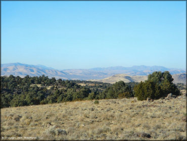 Scenery at Lousetown Road Trail