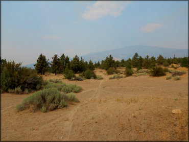 Juniper Flats OHV Area Trail