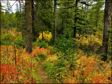 Canfield Mountain Trail System