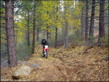 Honda CRF Trail Bike at Prosser Hill OHV Area Trail