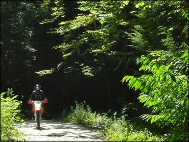 Honda CRF Motorcycle at Pisgah State Park Trail