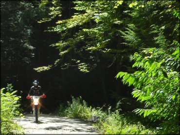 Honda CRF Dirt Bike at Pisgah State Park Trail