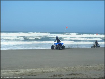 OHV at Samoa Sand Dunes OHV Area