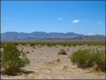 Scenery from Eldorado Dry Lake Bed Riding Area