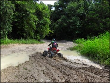 Man on Honda ATV going through muddy section of trail.