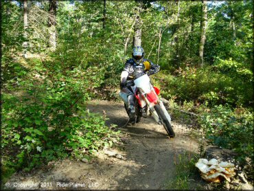Honda CRF Motorcycle at Hodges Village Dam Trail